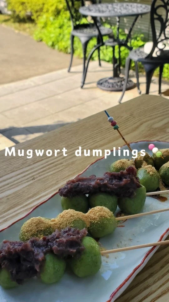 Mugwort dumplings🍡
During the Golden Week holidays, I made mugwort dumplings using mugwort that grew in my garden. The fresh green breeze is refreshing. The smell of mugwort reminded me of running around in the fields and mountains as a child.
#mugwort_dumpling #yomogi #registered_dietitian #washoku
 #cooking_experience #CookAidNara