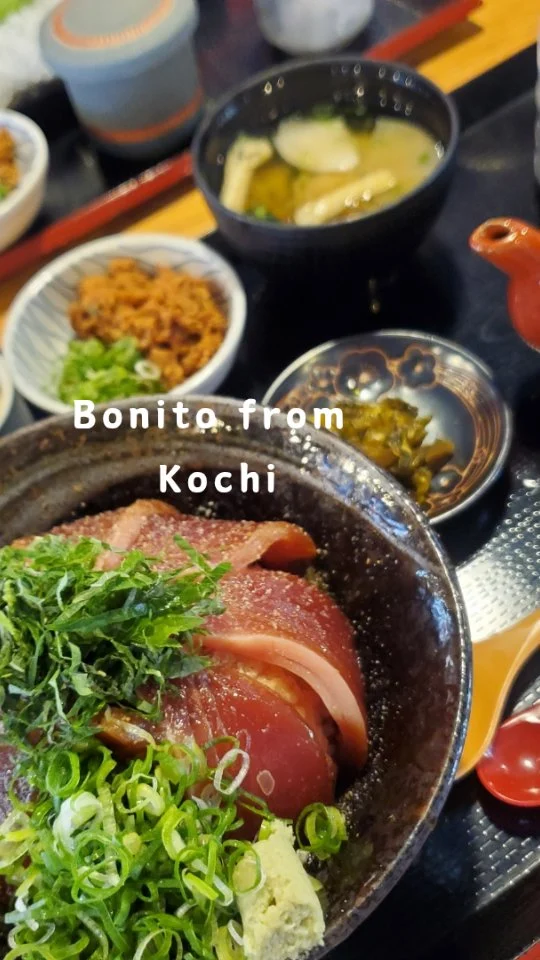 A trip to Kochi
I went to Shimanto in Kochi to eat fresh bonito. The straw-grilled bonito was delicious, but what really impressed me was the fisherman's meal of bonito. It was a bowl of rice topped with bonito marinated in soy sauce, a dish quickly eaten by the fishermen on a bonito fishing boat. To finish, we poured hot bonito stock over it and ate it as ochazuke. It was a hearty dish that filled the mouth with the delicious flavor of bonito. We also tried some local sake and brought lots of souvenirs. We refreshed our minds and bodies at an inn upstream the Shimanto River 🪴🌿🌳

#bonito #kochi #shimanto #matsubagawa #hotspring #nakatosa #kubokawa #suzaki #registered_dietitian #CookAidNara